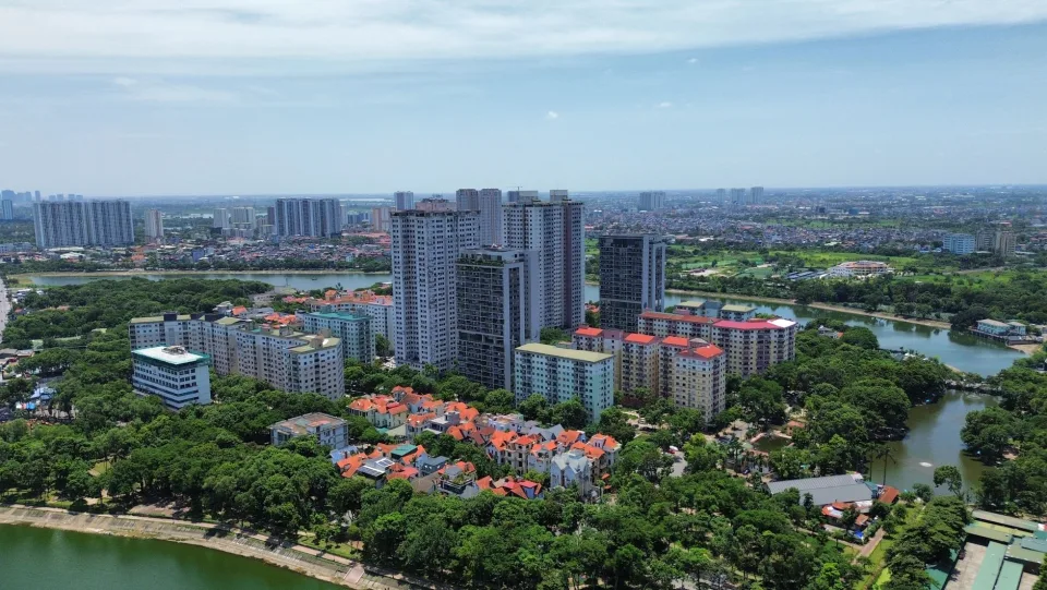 Hình ảnh tại Ribo Việt Nam 4